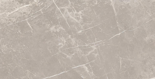 Elemental Stone Grey Dolomia Lucido  Керамогранит 30x60