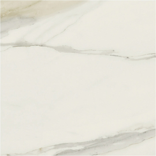 I Classici Di Rex Cal.Gold Glossy  Керамогранит 80x80