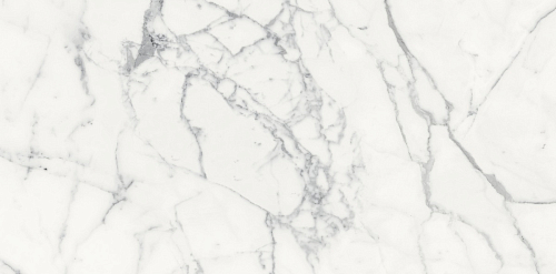 Les Origines De Rex Blanc Glossy  Керамогранит 60x120
