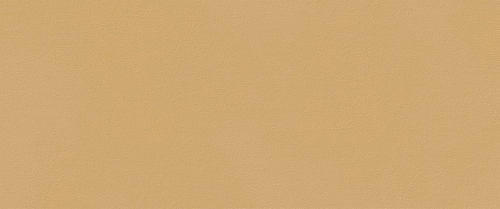 True Color Карамель Матовый  Керамическая плитка 50x120