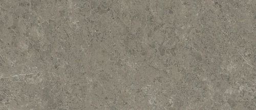 Marvel Meraviglia Grigio Elegante - 6mm Lappato  Керамогранит 120x278
