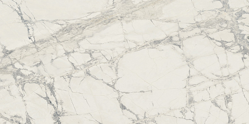 Prexious Rex Mountain Treasure Glossy  Керамогранит 60x120
