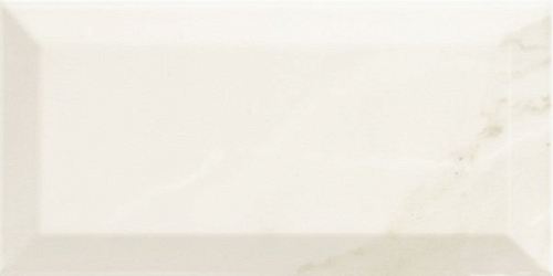 Doric White  Керамическая плитка 10x20