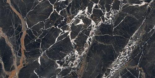 Les Bijoux De Rex Ombre Caravage Glossy  Керамогранит 60x120
