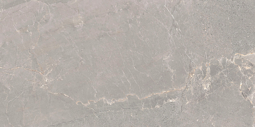 Alchemy Iron As  Керамогранит 60x120
