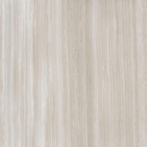 Biotech Stonewood R+Ptv 9 Mm  Керамогранит 120x120