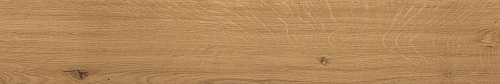 Log Amber Oak Forest  Керамогранит 20x120