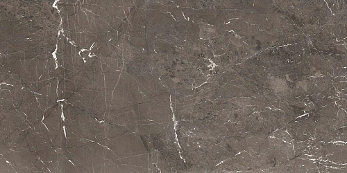 Heritage Brown Glossy 6mm  Керамогранит 60x120