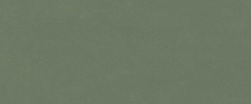 Серфейс Форест Грин  Керамическая плитка 50x120
