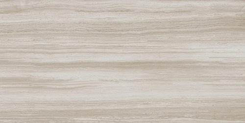 Biotech Stonewood R+Ptv 9 Mm  Керамогранит 60x120