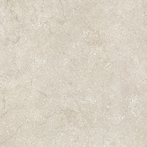 Stone Life Shell 9 Mm  Керамогранит 60x60