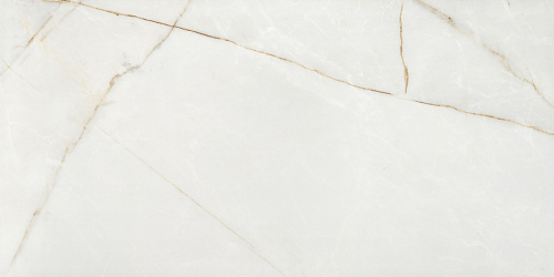 Мрамор Calacatta Grigio Imperiale  Керамогранит 60x120