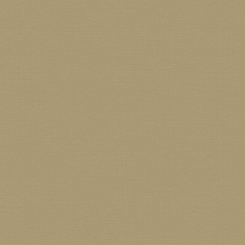 Флизелиновые обои Экватор 1x10.05