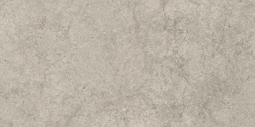 Саленто Грей  Керамогранит 60x120