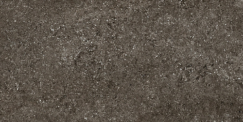 Magnum CDC Brown Fossil Naturale 6mm Керамогранит 60x120