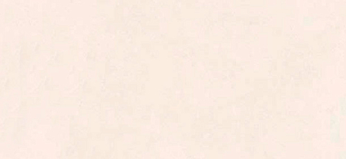 Камень Pietra Calcarea Bianco  Керамогранит 60x120