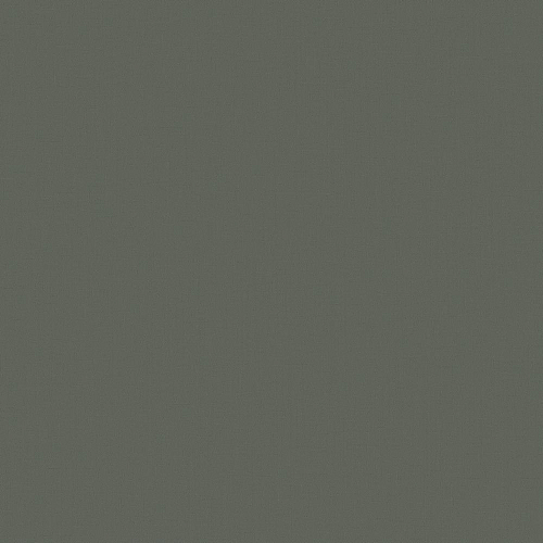 Флизелиновые обои Птица счастья 1x10.05
