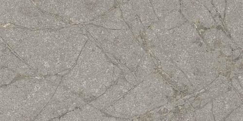 Supreme Memories Grey Soapstone Ant  Керамогранит 60x120