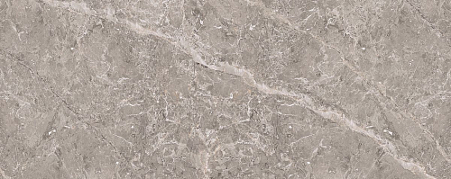 Elegant Grey Bookmatch Brillo  Керамическая плитка 59.6x150