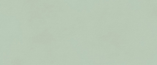 True Color Матча Матовый  Керамическая плитка 50x120