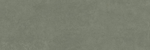 Джемини Мускио 2+ мм  Керамогранит 100x300