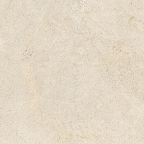 Biotech Crema Stone R+Ptv 9 Mm  Керамогранит 120x120