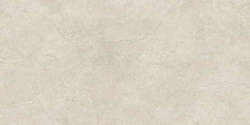 Stone Life Shell 6 Mm  Керамогранит 120x240