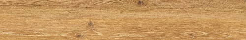 Verbier Honey As  Керамогранит 19.5x121