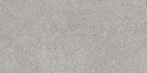 Batela Gris Matt  Керамогранит 60x120