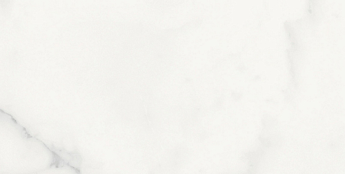 Les Origines De Rex Blanc Glossy  Керамогранит 30x60