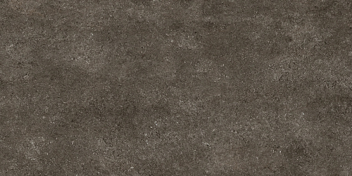 Magnum CDC Brown Fossil Naturale 6mm  Керамогранит 120x240