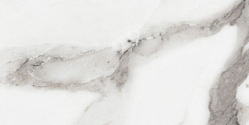 Les Origines De Rex Argent Glossy  Керамогранит 30x60