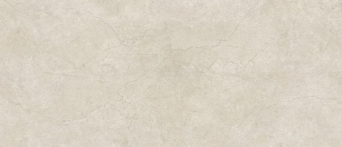 Stone Life Shell 6 Mm  Керамогранит 120x280