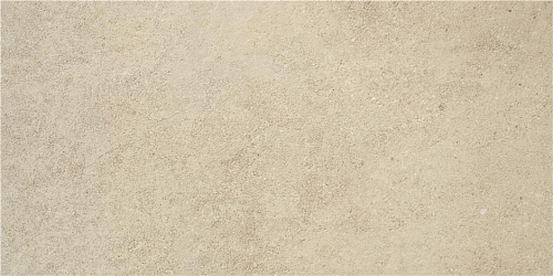 Regina Natural Matt.  Керамогранит 60x120