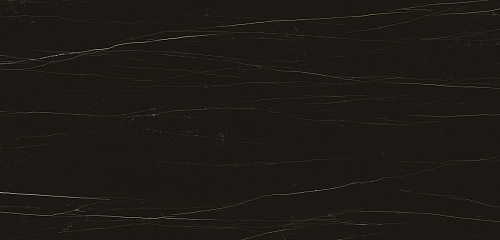 Wild Black Polished  Керамогранит 120x250