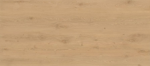 Log Icon Oak 6mm  Керамогранит 120x278