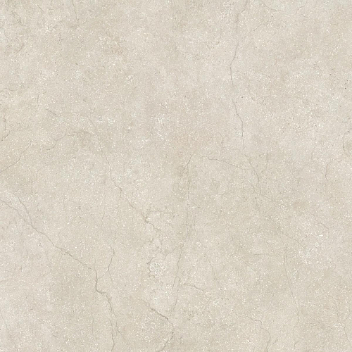 Stone Life Shell 6 Mm  Керамогранит 120x120