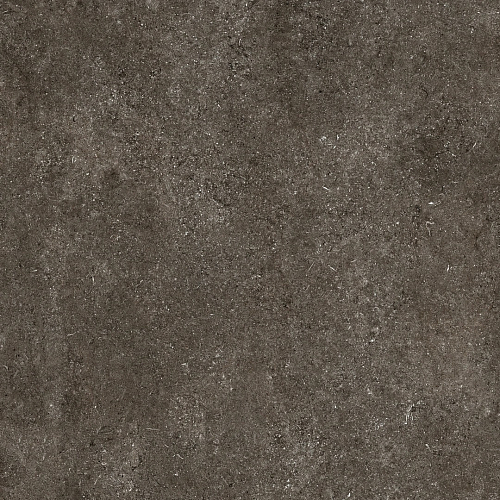 Magnum CDC Brown Fossil Naturale 6mm Керамогранит 120x120