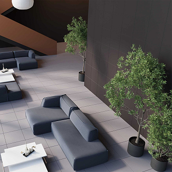 Рейнбоу (Rainbow)