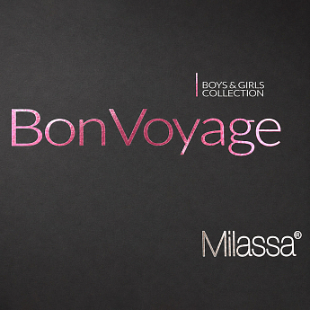 Bon Voyage