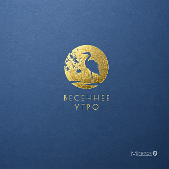 Весеннее утро
