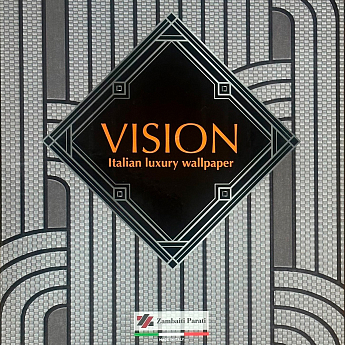 Vision