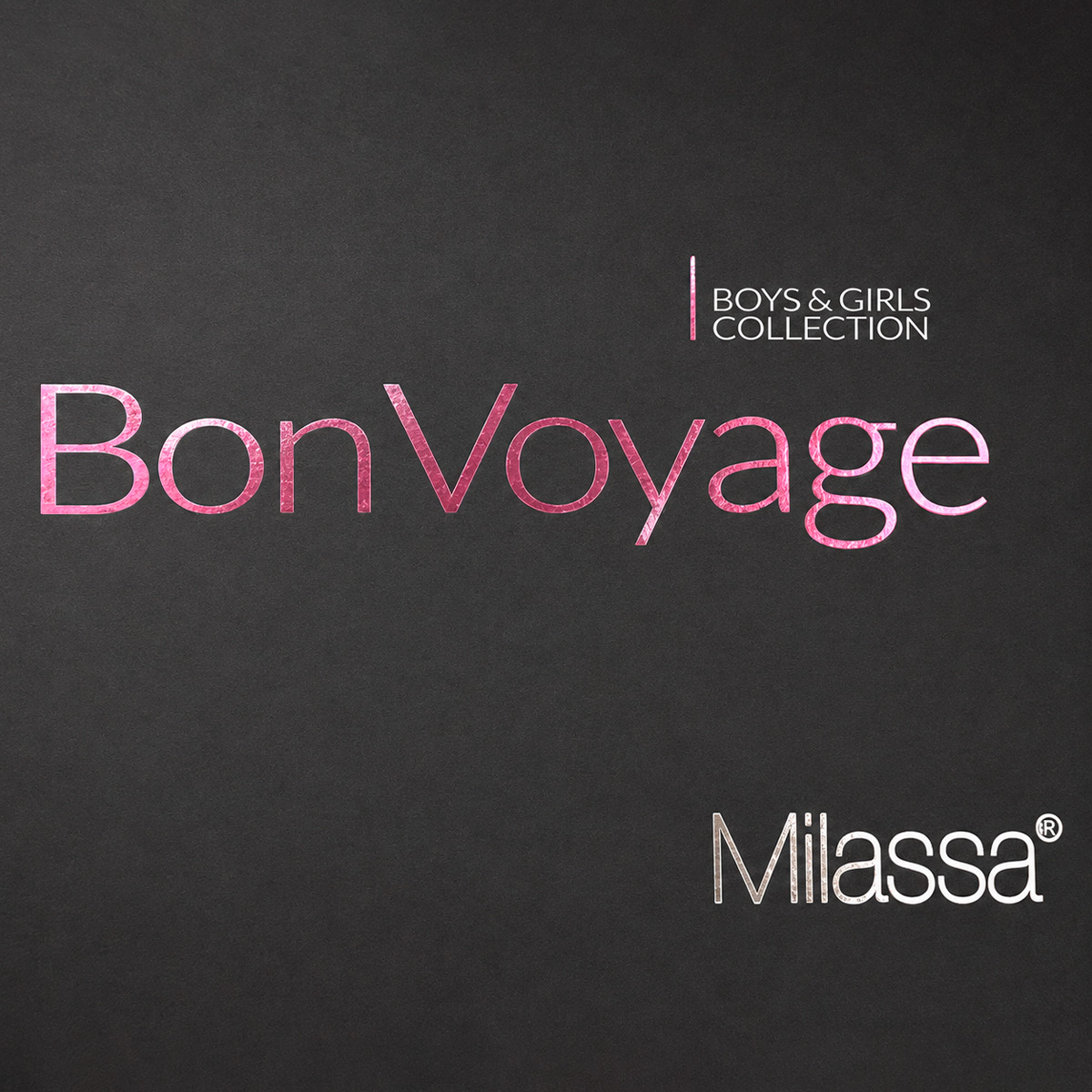 Bon Voyage
