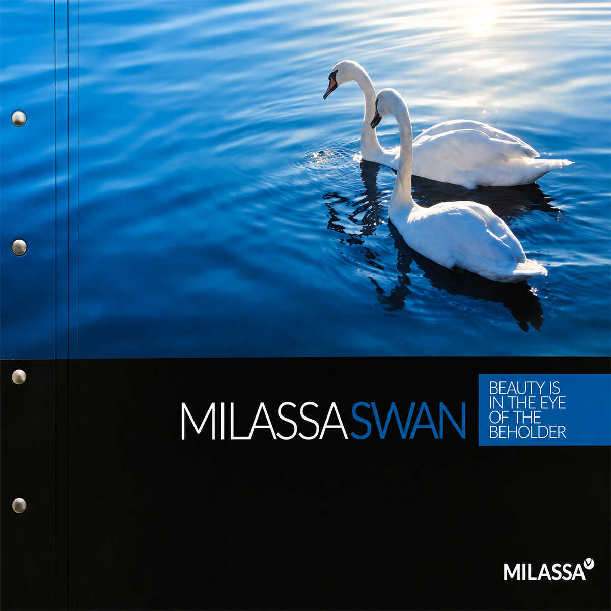 Swan