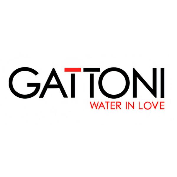 Gattoni