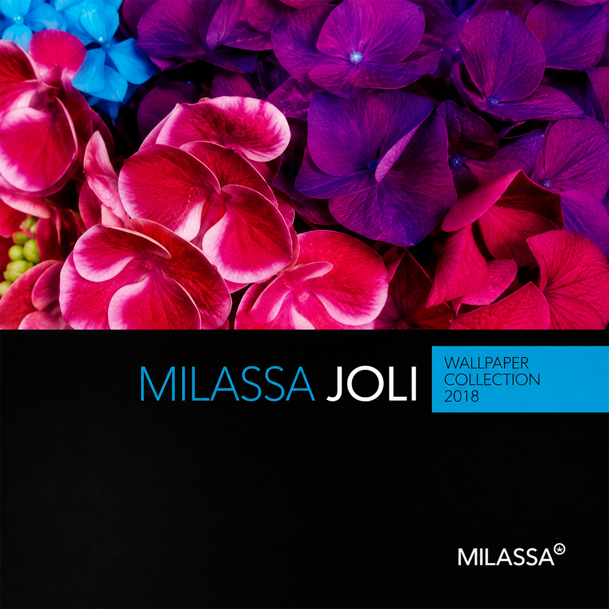 Joli