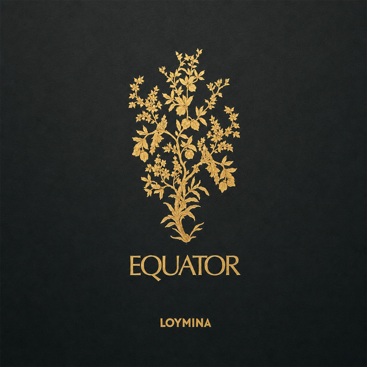 Equator
