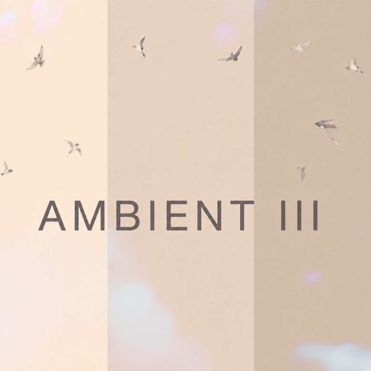 Ambiplain 3 